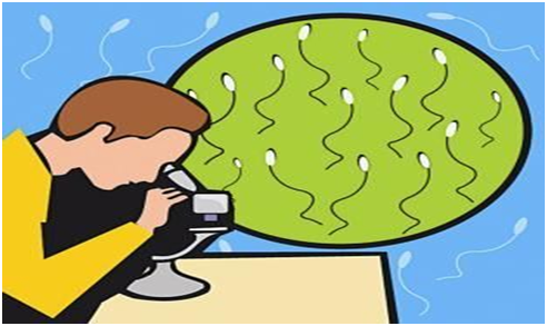 香港驗精|精液化驗收費|精蟲活動力檢驗邊間好